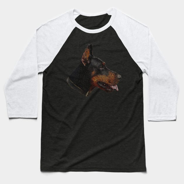 Doberman Info Graphic Baseball T-Shirt by shellysom91